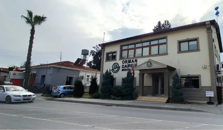 İzinsiz ağaç kesip, ateş yakmaya 3 asgari ücret tutarında para cezası