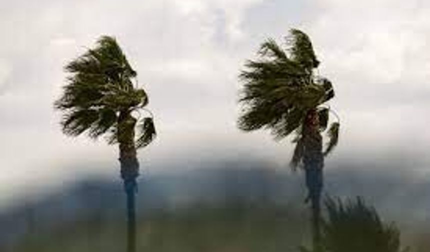 Rüzgârın hızı Serdarlı’da 126 kilometreye ulaştı