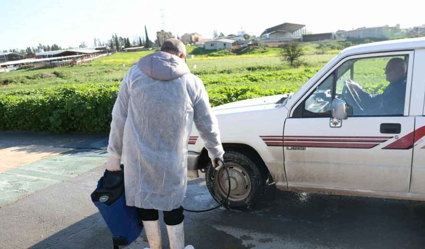 Larnaka’ya bağlı bir köyde yeni şap vakası