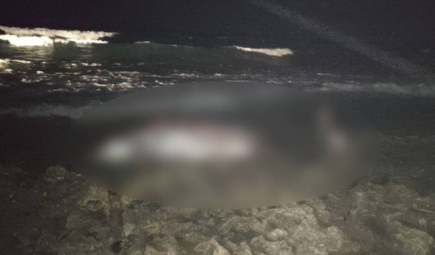 Tatlısu’da 5 metre uzunluğundaki erkek gagalı balina karaya vurdu