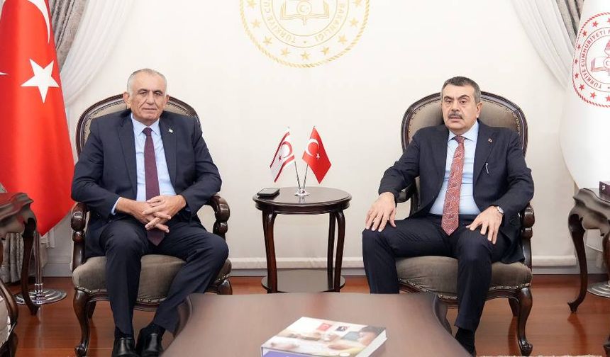 Bakan Çavuşoğlu'ndan mevkidaşı Tekin ile görüşmesine ilişkin açıklama