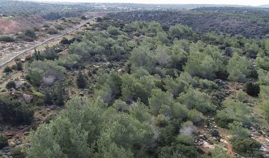 Mecliste destek şimdi geri çekme talebi