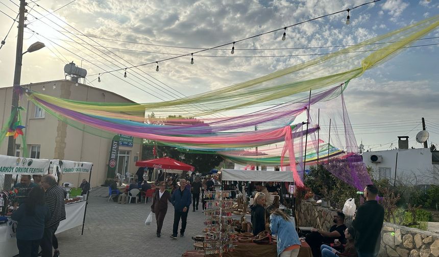 13. Geleneksel Hisarköy Orkide Festivali hafta sonu yapılıyor