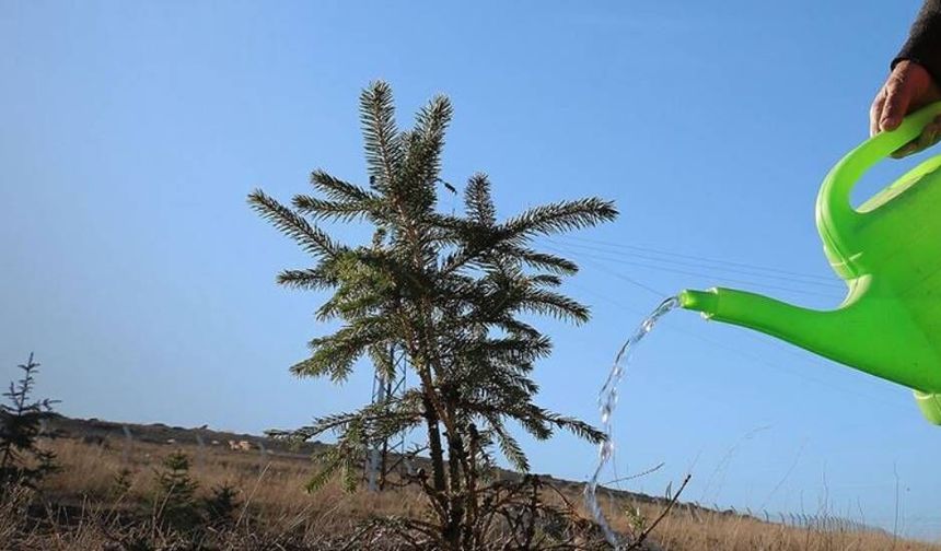 “Yeniden Yeşil Kıbrıs” etkinliğiyle yarın ülke genelinde eş zamanlı fidan dikilecek