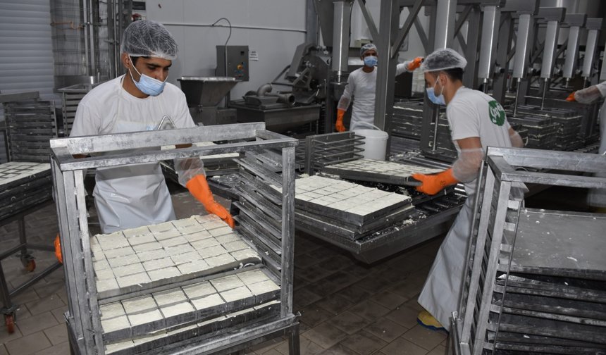 KTSO: Yeşil Hat üzerinden hellim ihracatındaki engel kalkıyor