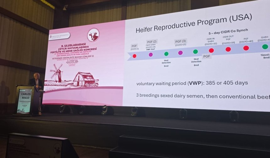 Çavuş: Bilimsel çalışmalar ve yenilikçi yaklaşımlar hayvancılık sektörünün geleceği için yol gösterici