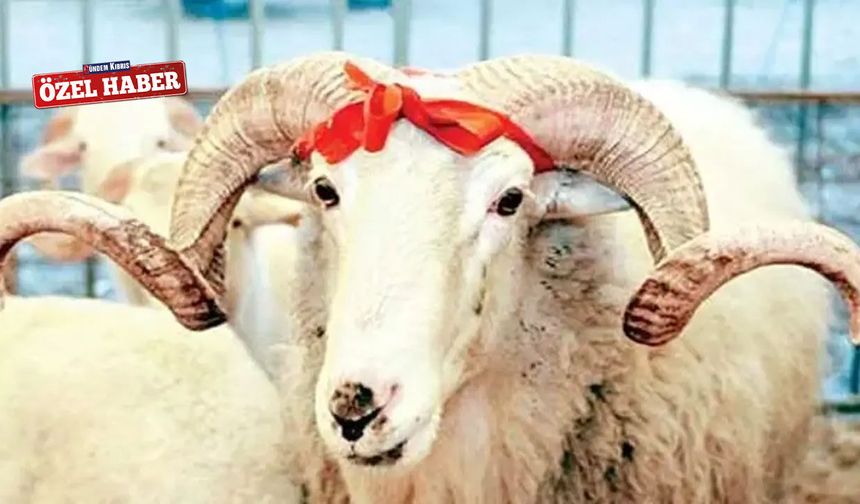 Vatandaş konuştu: Dini bayramımızın gereklerini yerine getiririz