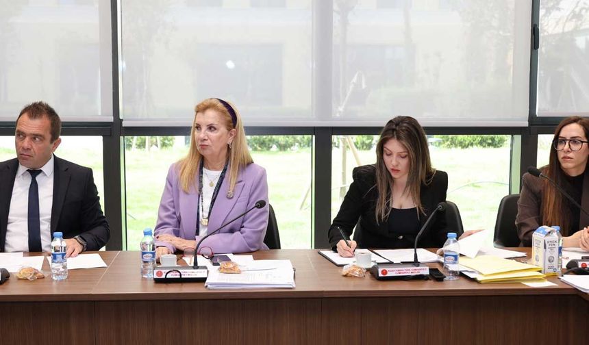 Meclis Komitesi Kamu Finansmanı Kararnamesini Genel Kurul’a Sevk Etti