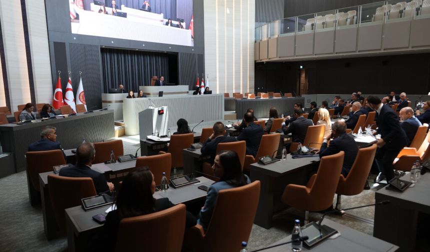 Meclis'te Seçim ve Halkoylaması (Değişiklik) Yasa Tasarısı görüşülüyor