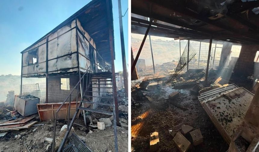 Güngör Ağıllar Bölgesi'nde yangın: 146 hayvan telef oldu, 2 kişi dumandan etkilendi