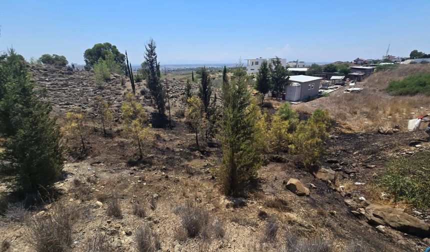 Kuzey Çevre Yolu’nda Sigara İzmariti Şüphesi: 1 Dönümlük Alan Küle Döndü