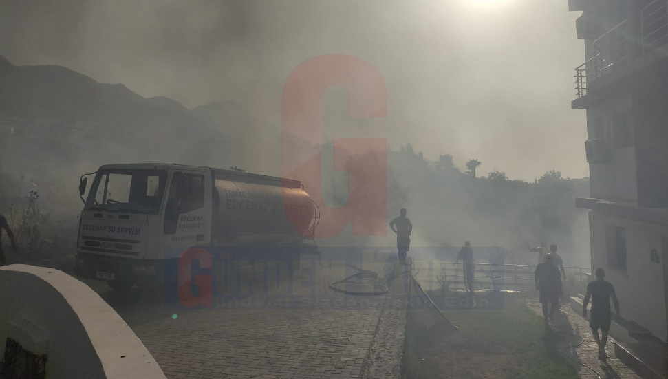 Yeni Proje (10)